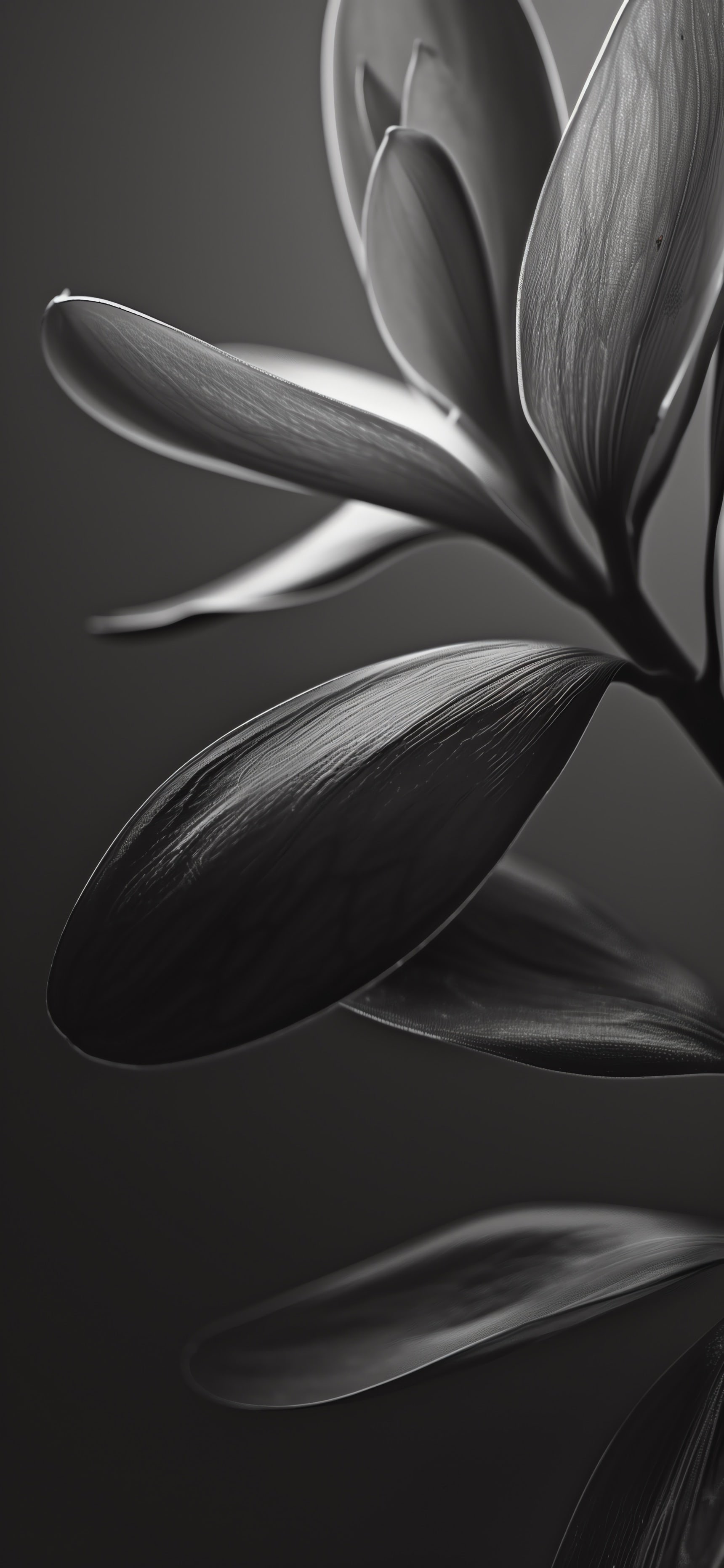 Monochrome Plant
