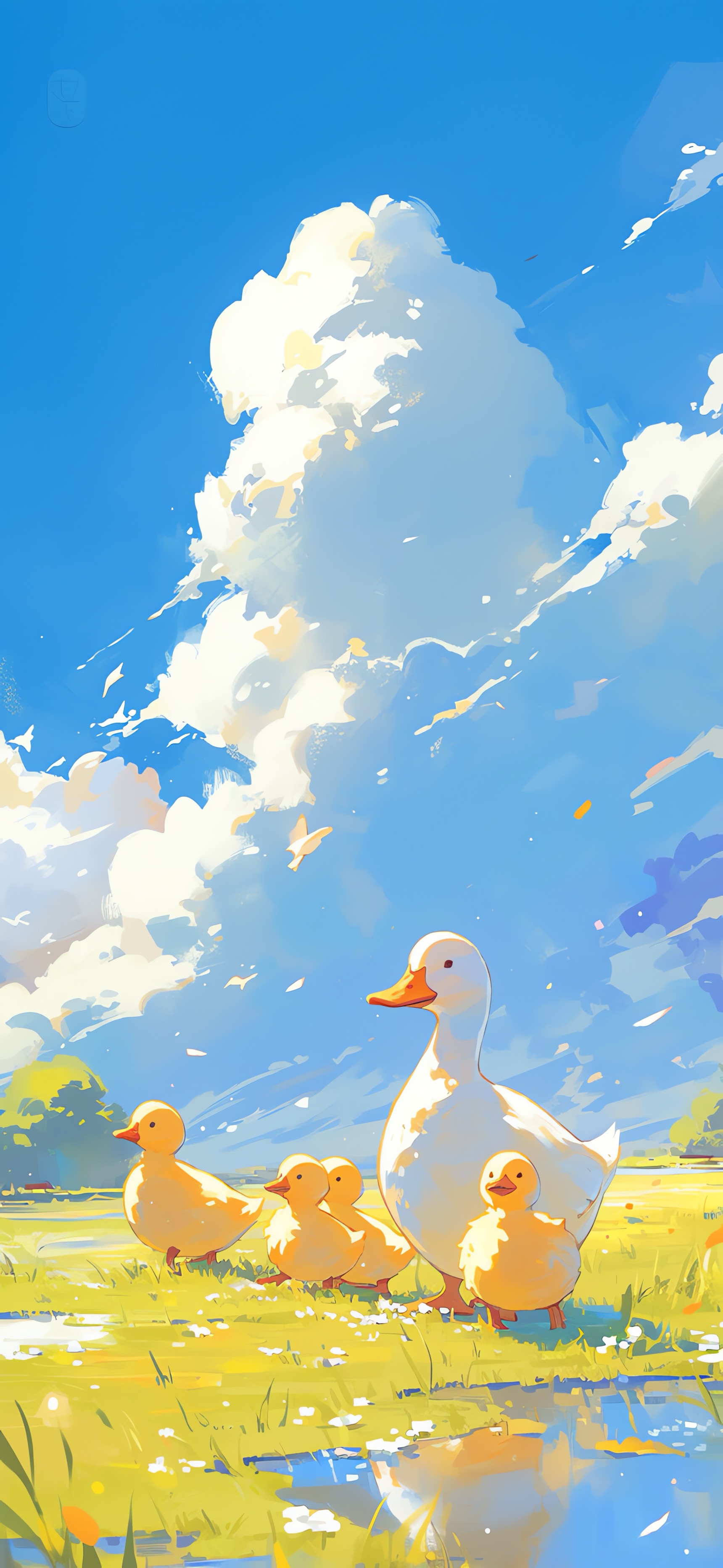 Ducks