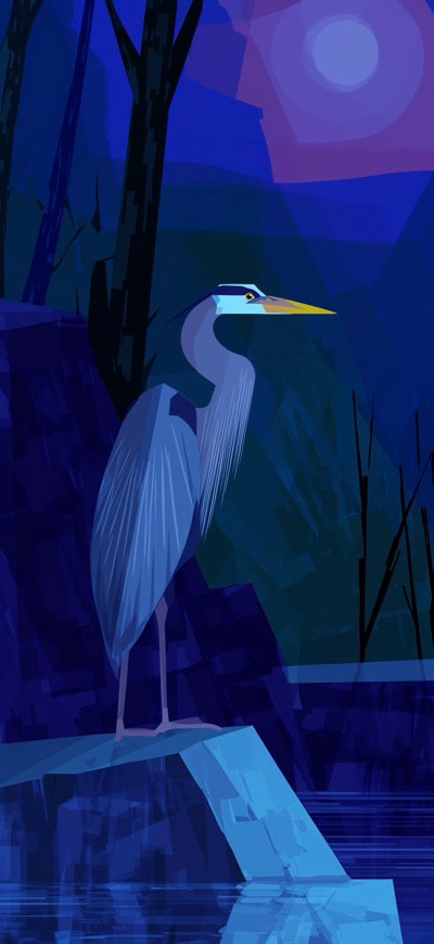 Flamingo Illustration