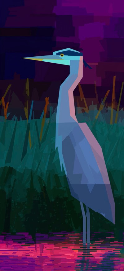 Flamingo Illustration