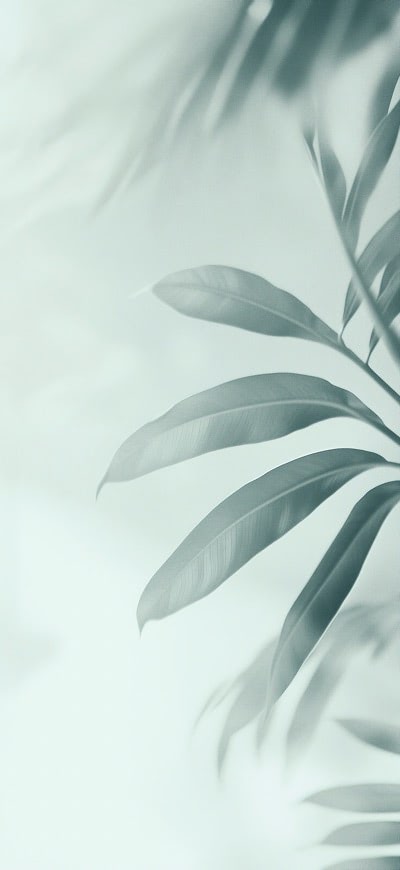 Translucent Leafs