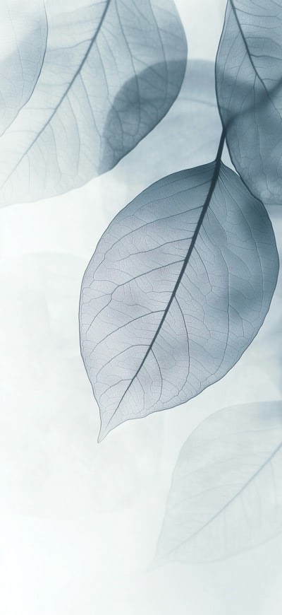 Translucent Leafs