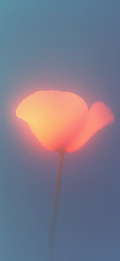 Glowing Flower