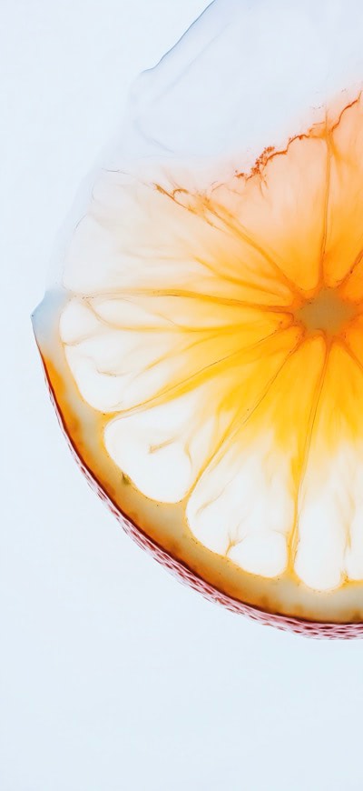 Orange Slice