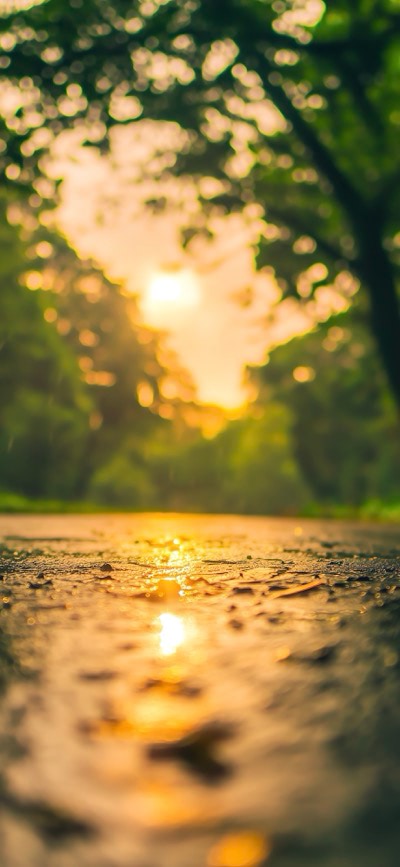 Vibrant Warm Sunshine