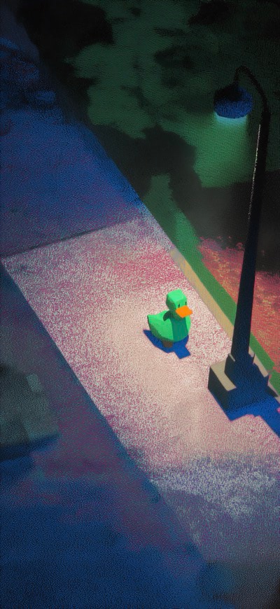 Duck On The Road Side