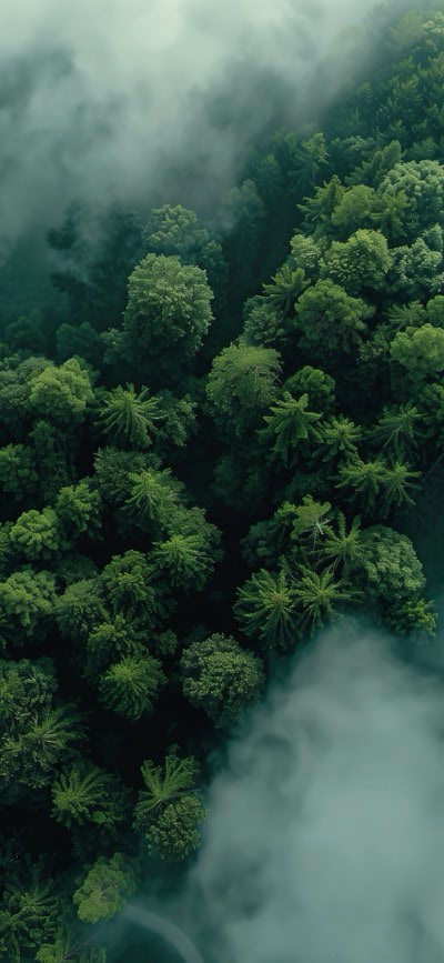 Above The Clouds 3 (varient)