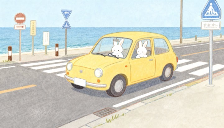 Rabbit Couple In Car