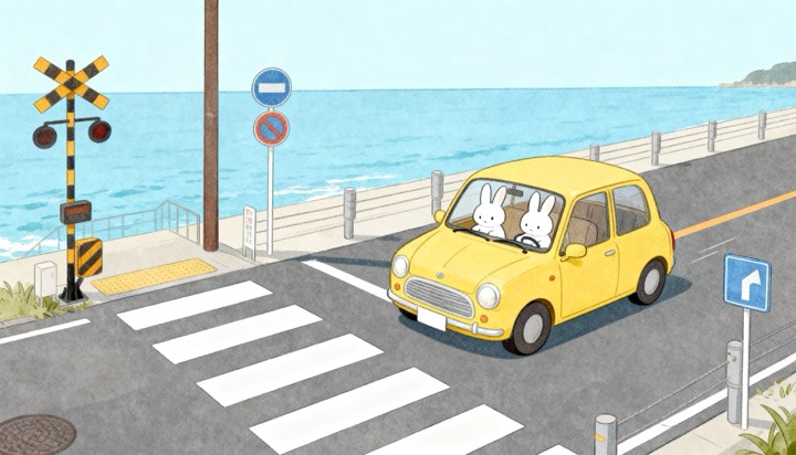 Rabbit Couple In Car