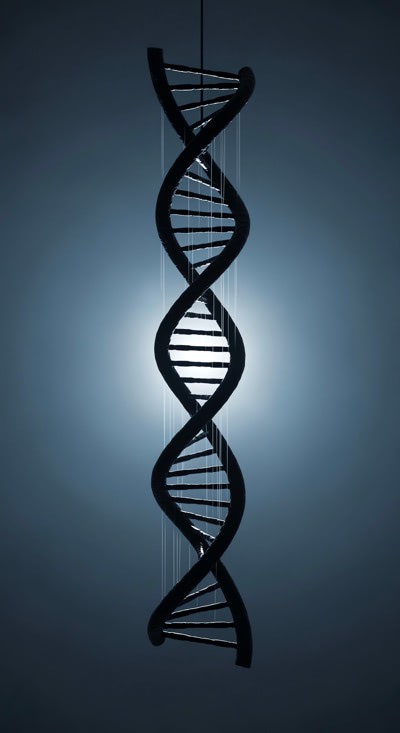 DNA